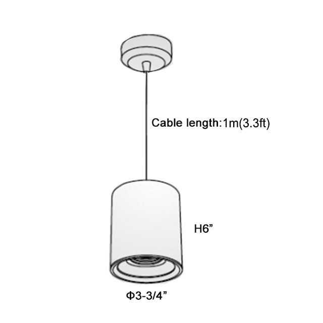 Master D IP65 ETL Pendant White+Black